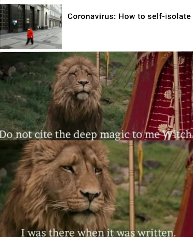 1584388959779.png
