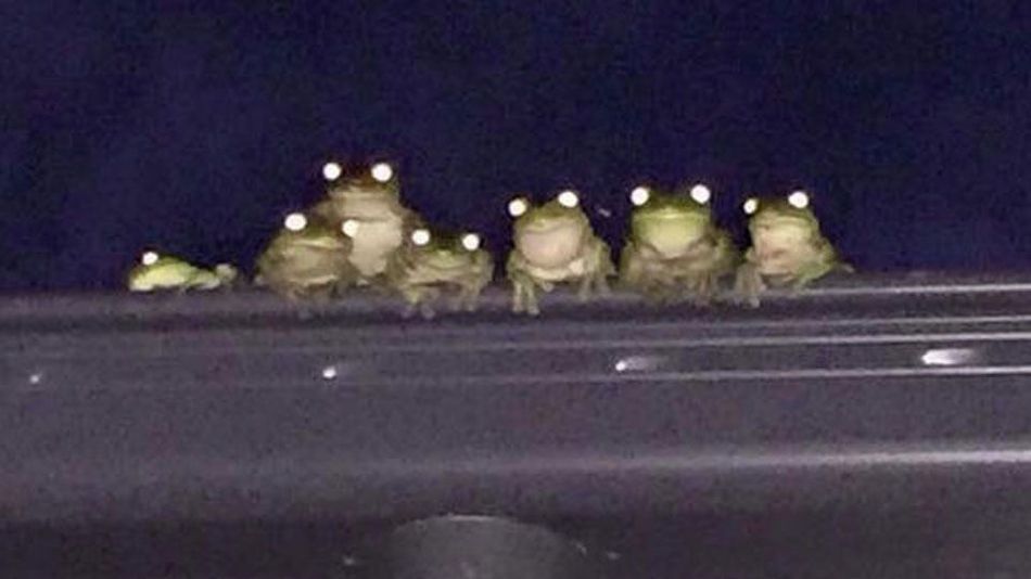 4266