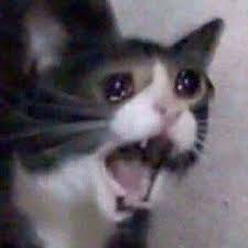 4963