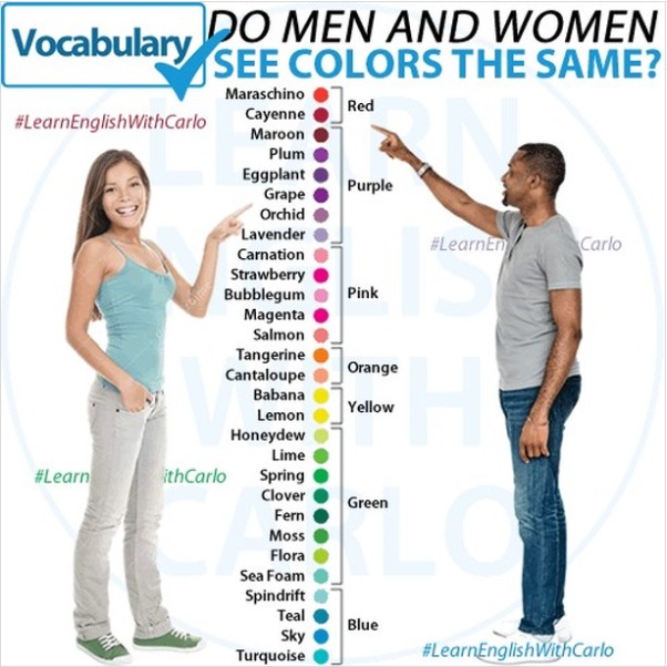 colors men and women.jpg