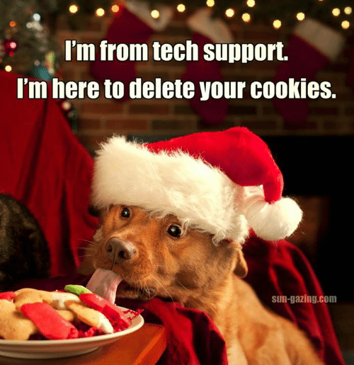 im-from-tech-support-im-here-to-delete-your-cookies-10025892.png