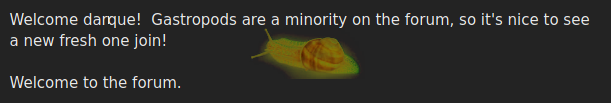 4994
