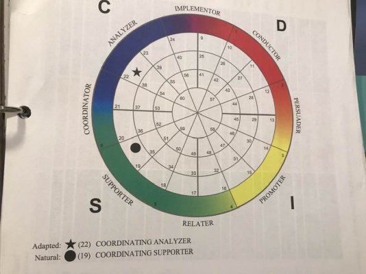 disc chart.jpg