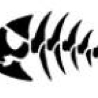 cuterebra