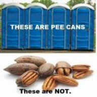Why?