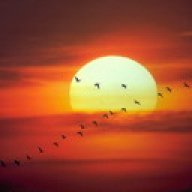 Sunshine
