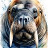 fractalwalrus