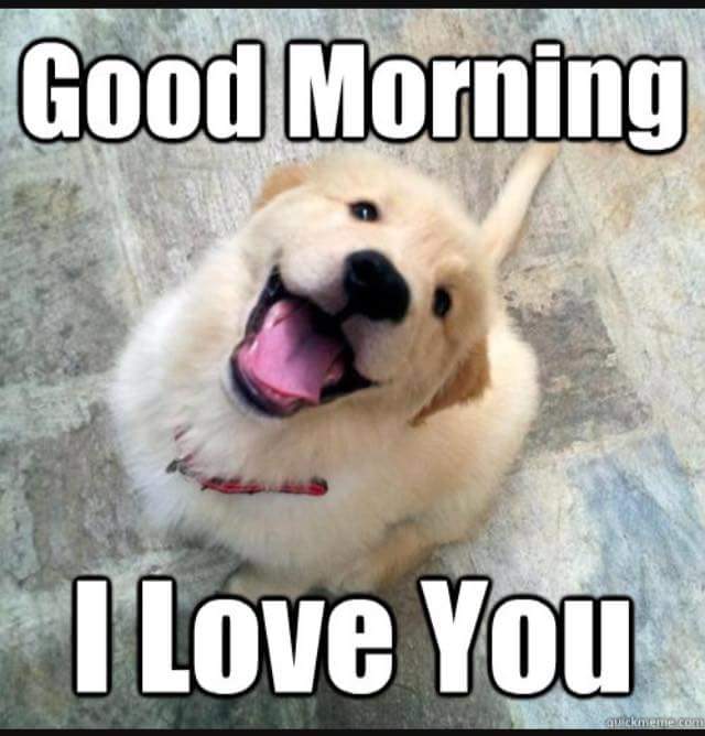 morninglove_zps5zyhvzco.jpg