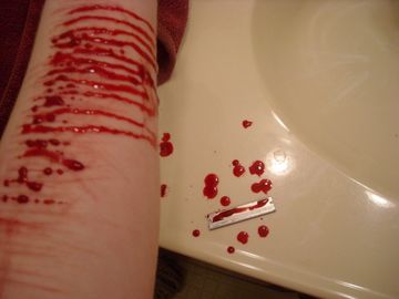 cutting%202.jpg