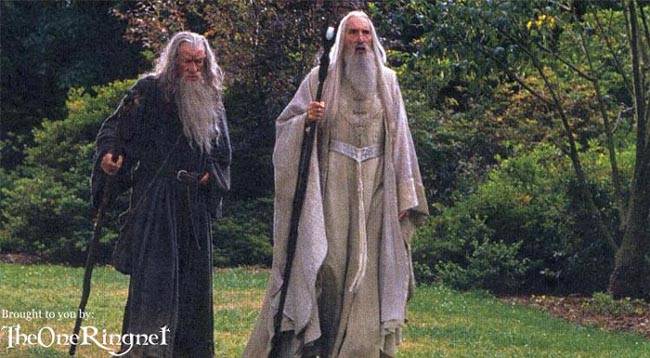 gandalf_saruman_torn.jpg