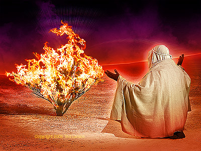 burning_bush.jpg