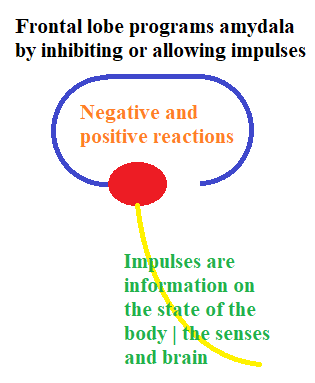 MBTI Database — mbti-notes: “objective”: external reality apart