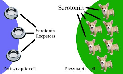 diagram.jpg