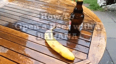 mIQePig.gif