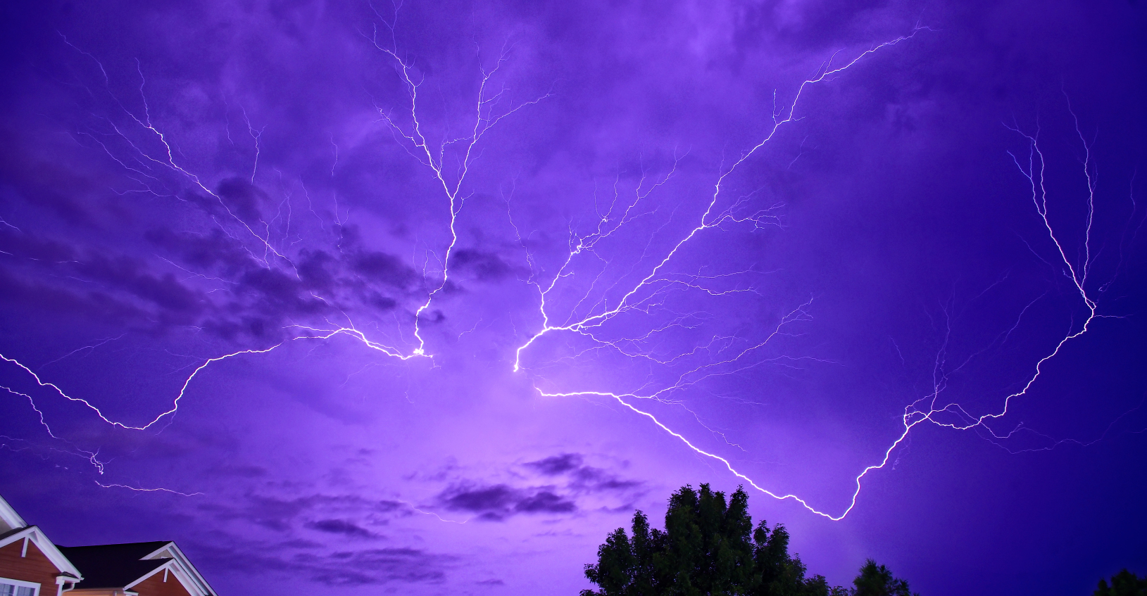 WF light show.jpg