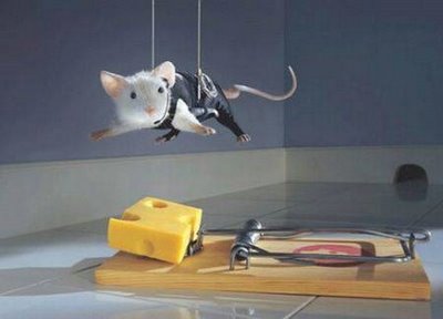 mousetrap.jpg