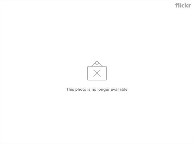 5286437868_f132004393_z.jpg